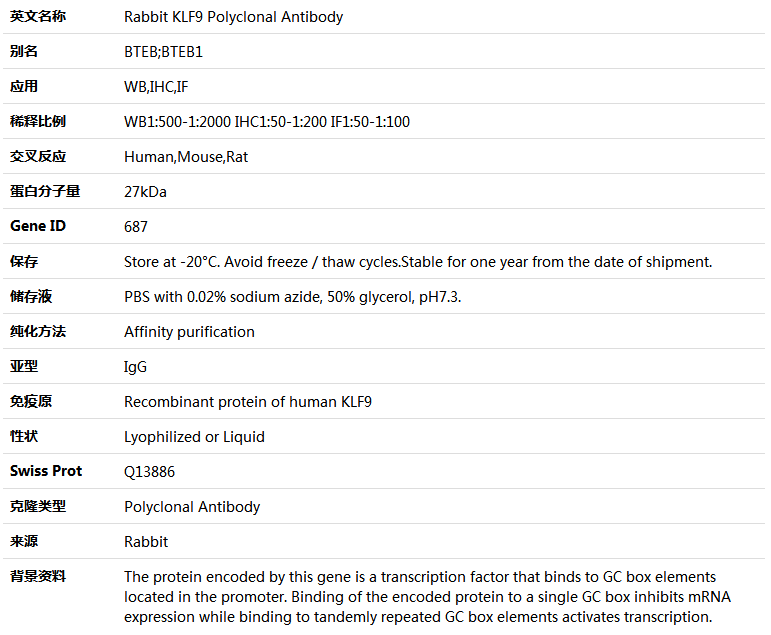 KLF9 Antibody,索莱宝,K005079P-100ul