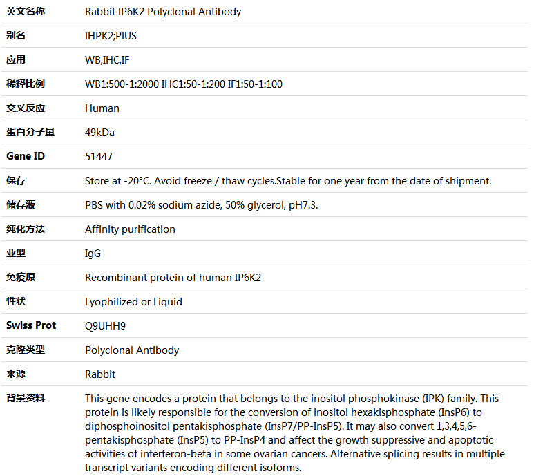 IP6K2 Antibody,索莱宝,K005075P-50ul