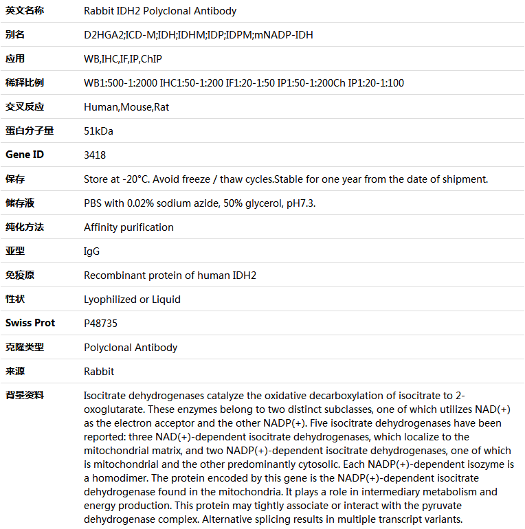 IDH2 Antibody,索莱宝,K005073P-100ul