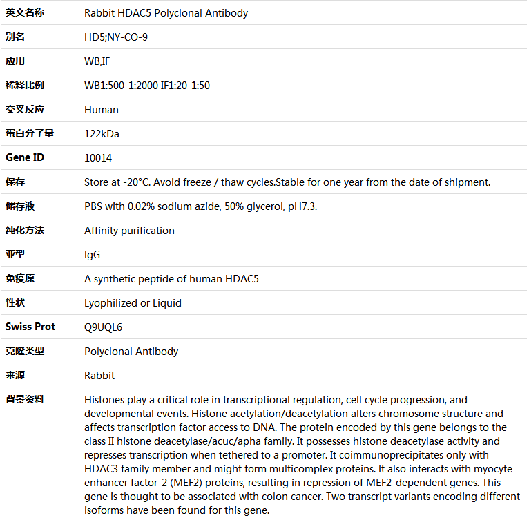 HDAC5 Antibody,索莱宝,K005072P-100ul