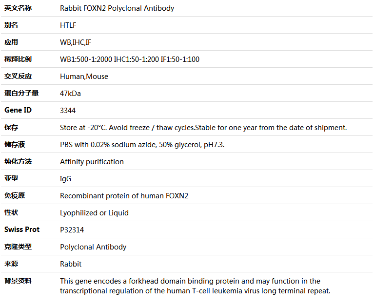 FOXN2 Antibody,索莱宝,K005068P-30ul