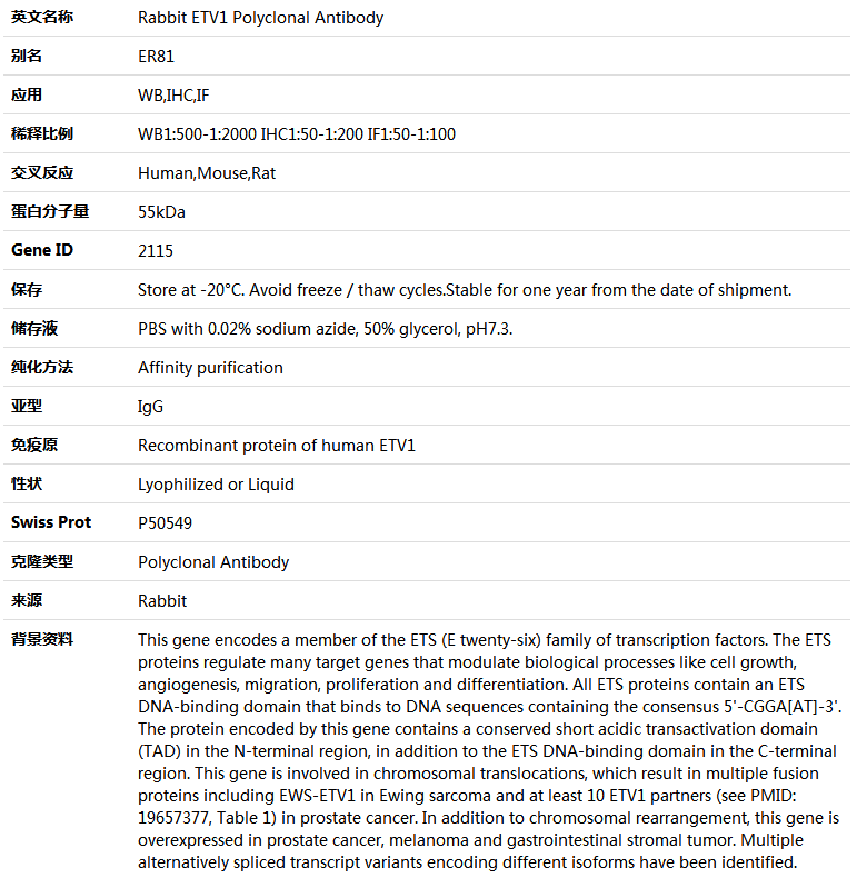 ETV1 Antibody,索莱宝,K005067P-30ul