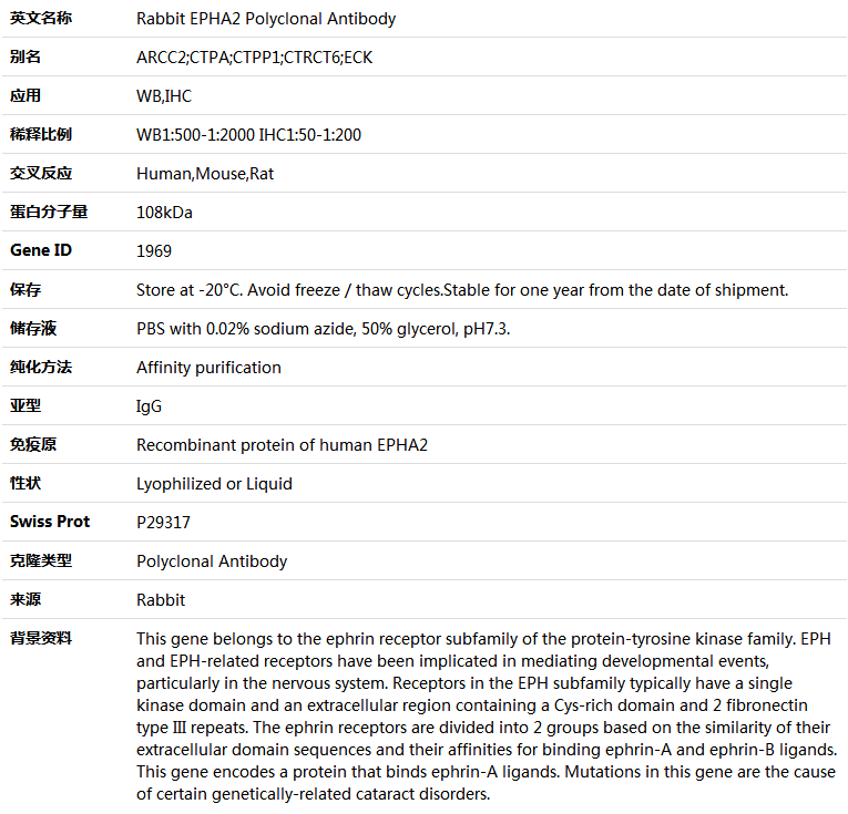 EPHA2 Antibody,索莱宝,K005066P-100ul
