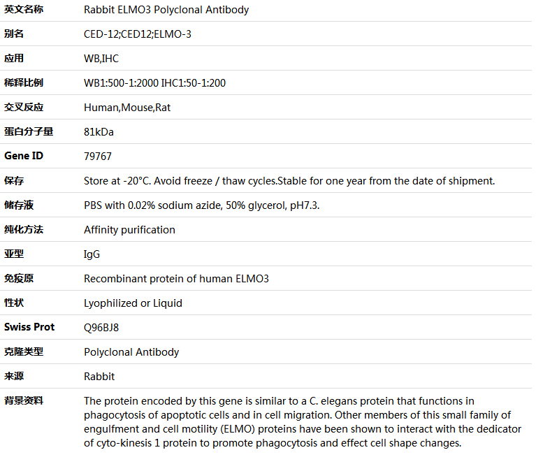 ELMO3 Antibody,索莱宝,K005065P-100ul