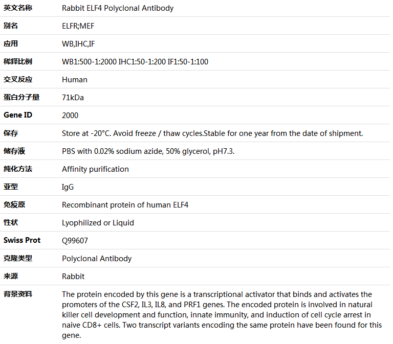 ELF4 Antibody,索莱宝,K005063P-100ul