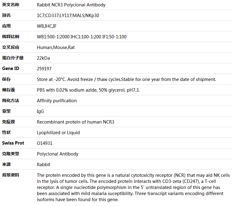 NCR3 Antibody,索莱宝,K005053P-100ul