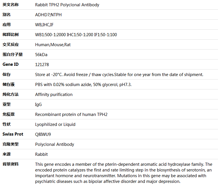 TPH2 Antibody,索莱宝,K005049P-100ul