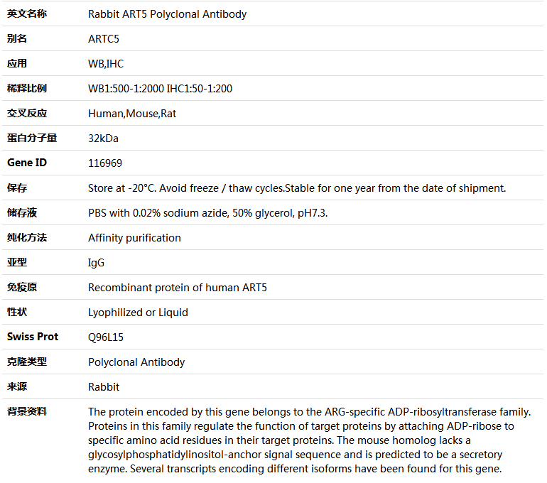 ART5 Antibody,索莱宝,K005048P-100ul