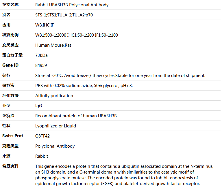 UBASH3B Antibody,索莱宝,K005046P-50ul