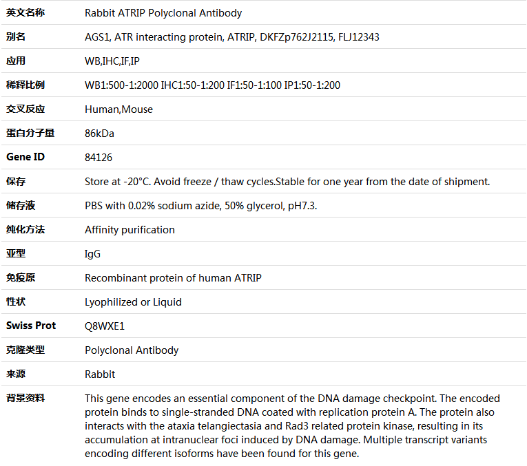 ATRIP Antibody,索莱宝,K005044P-100ul