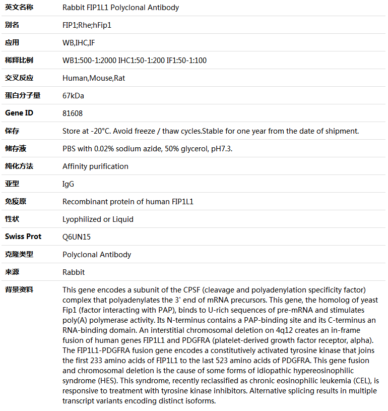 FIP1L1 Antibody,索莱宝,K005043P-50ul