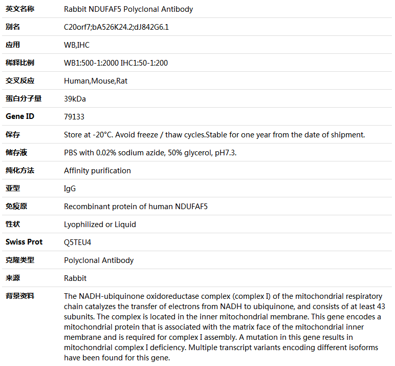 NDUFAF5 Antibody,索莱宝,K005040P-50ul