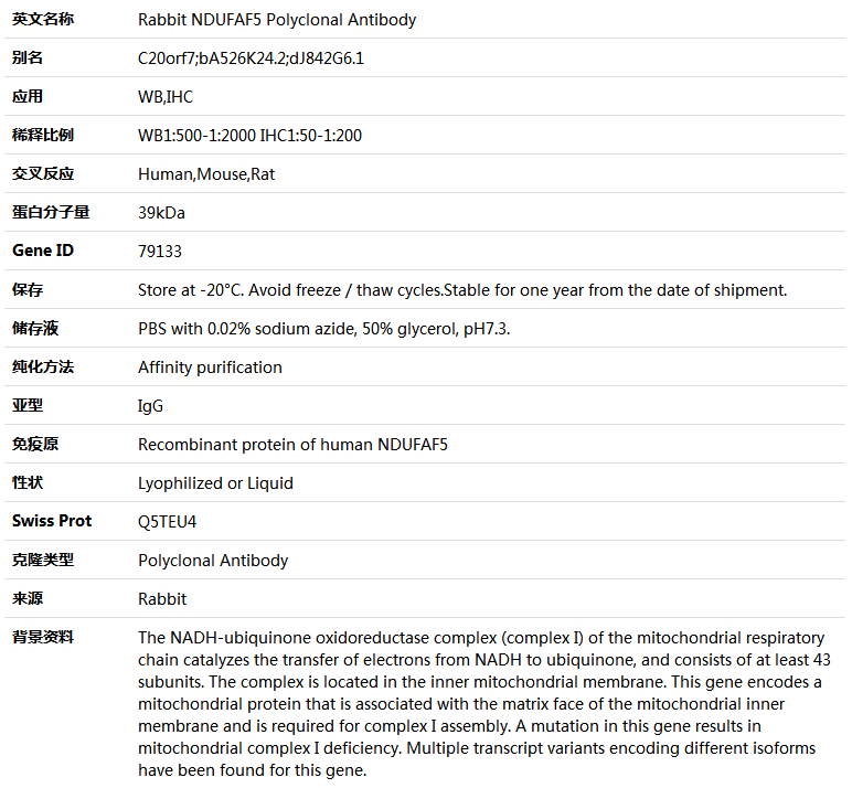 NDUFAF5 Antibody,索莱宝,K005040P-100ul