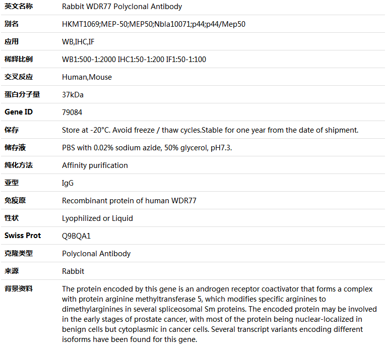 WDR77 Antibody,索莱宝,K005039P-100ul