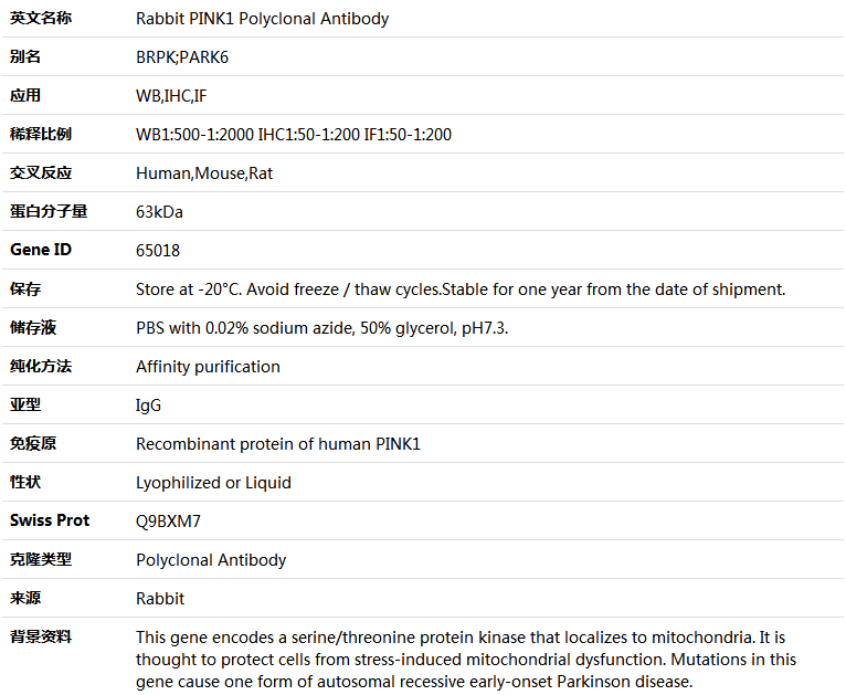 PINK1 Antibody,索莱宝,K005037P-100ul