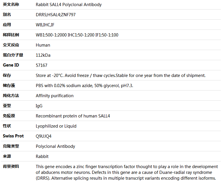 SALL4 Antibody,索莱宝,K005032P-50ul