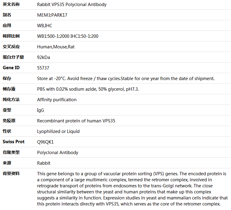 VPS35 Antibody,索莱宝,K005027P-100ul