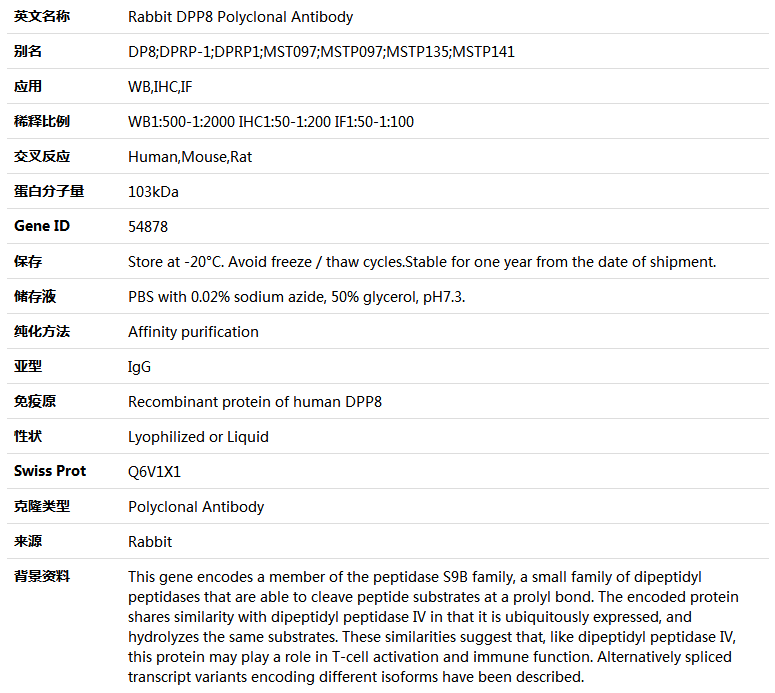 DPP8 Antibody,索莱宝,K005023P-100ul