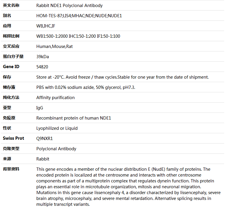 NDE1 Antibody,索莱宝,K005022P-100ul