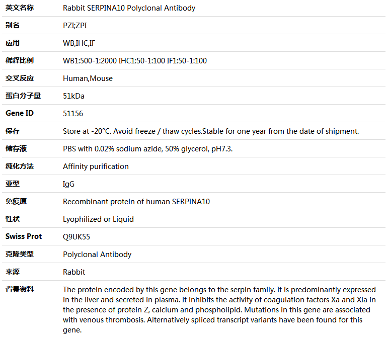 SERPINA10 Antibody,索莱宝,K005017P-100ul