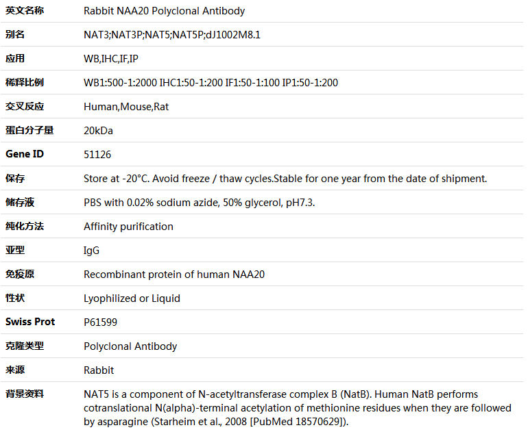 NAA20 Antibody,索莱宝,K005016P-100ul