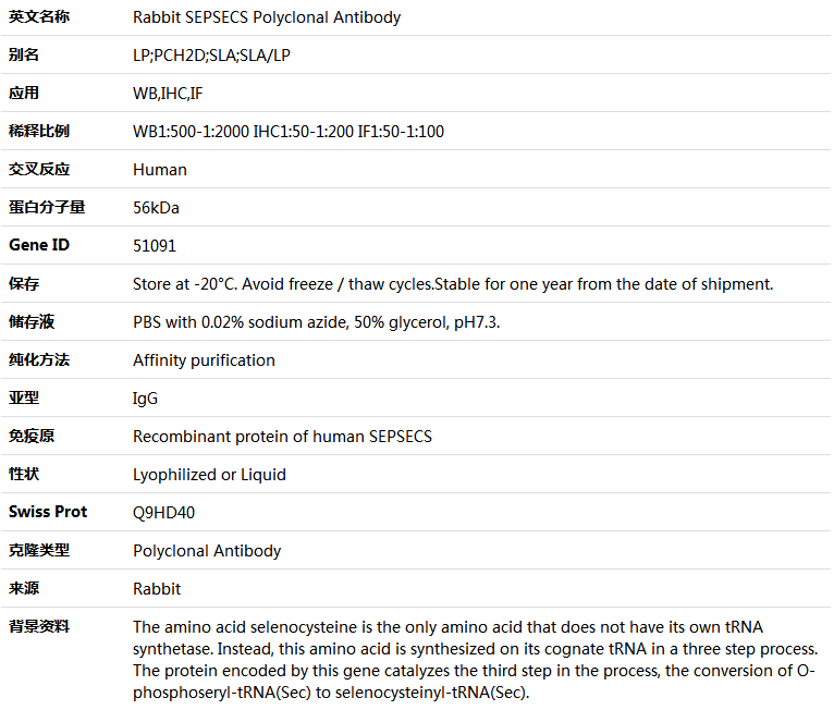 SEPSECS Antibody,索莱宝,K005014P-100ul