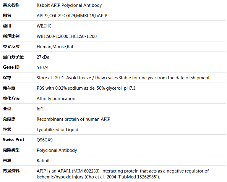 APIP Antibody,索莱宝,K005013P-100ul