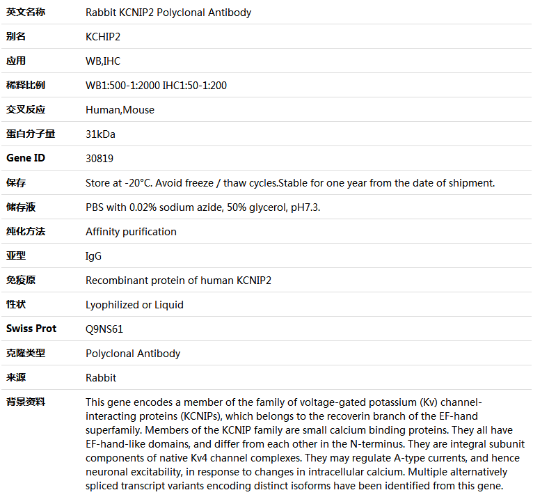 KCNIP2 Antibody,索莱宝,K005011P-100ul