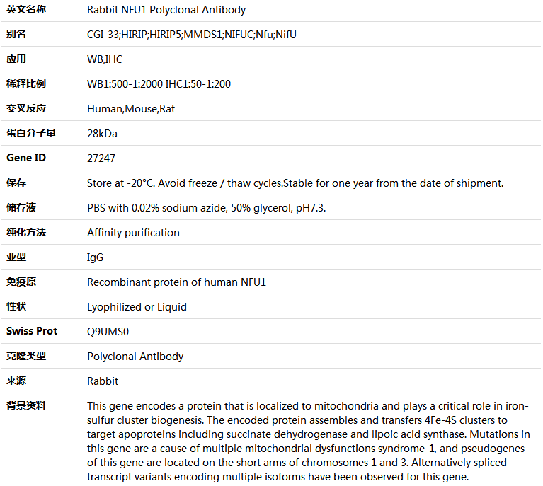 NFU1 Antibody,索莱宝,K005008P-100ul