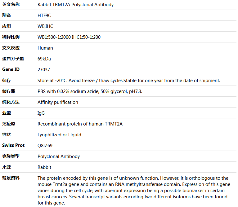 TRMT2A Antibody,索莱宝,K005006P-50ul