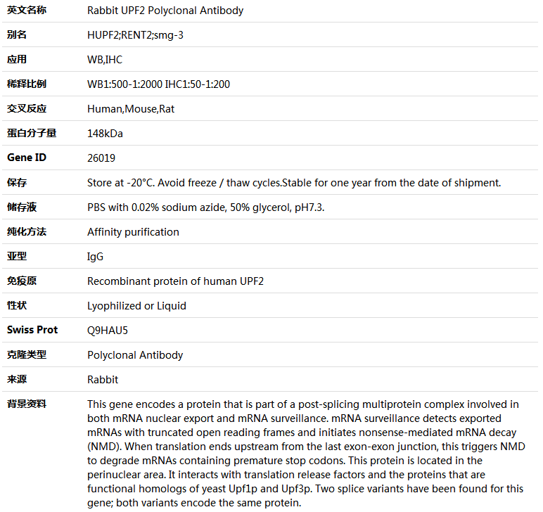 UPF2 Antibody,索莱宝,K005004P-100ul