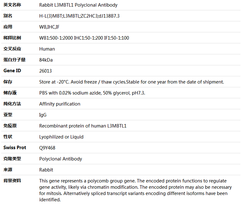 L3MBTL1 Antibody,索莱宝,K005003P-50ul