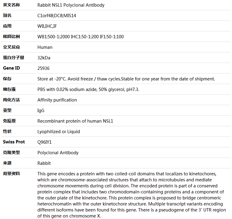 NSL1 Antibody,索莱宝,K005002P-100ul