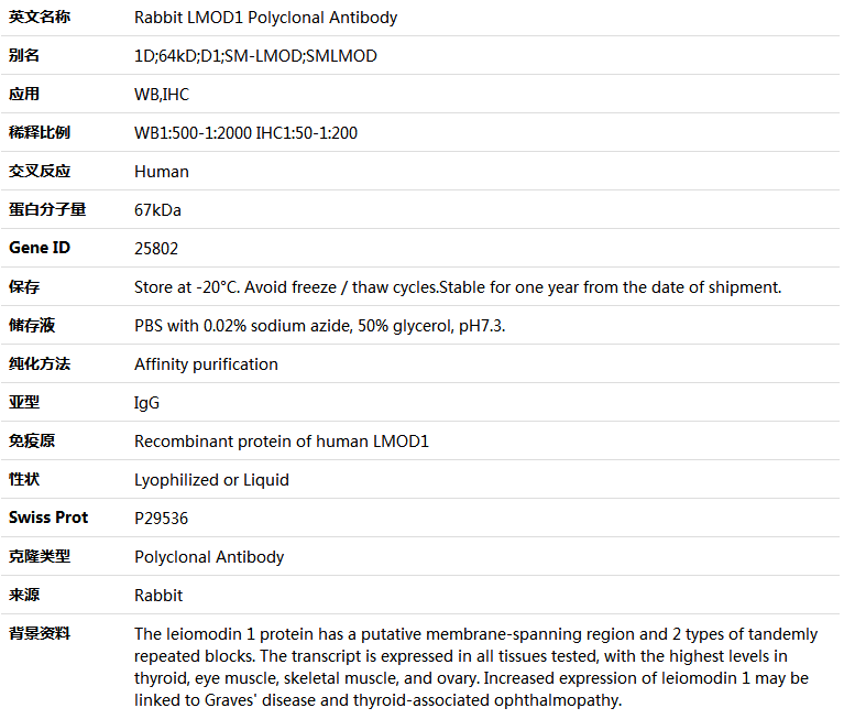 LMOD1 Antibody,索莱宝,K005000P-100ul