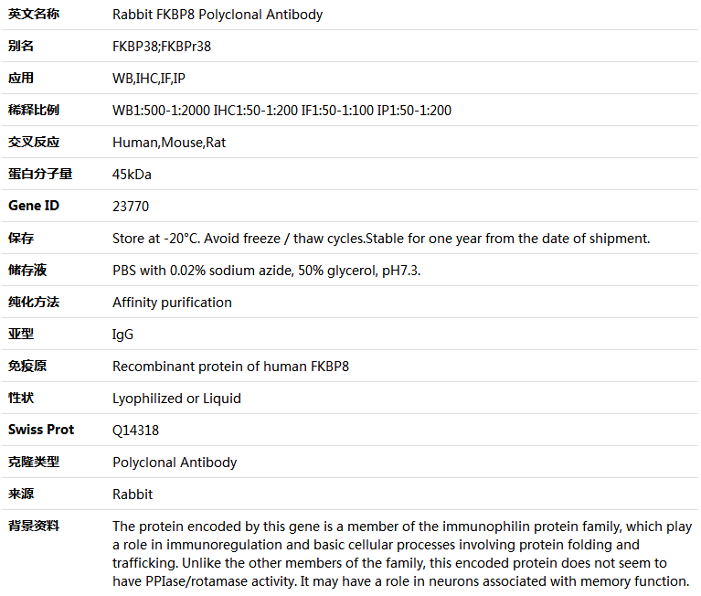 FKBP8 Antibody,索莱宝,K004998P-50ul