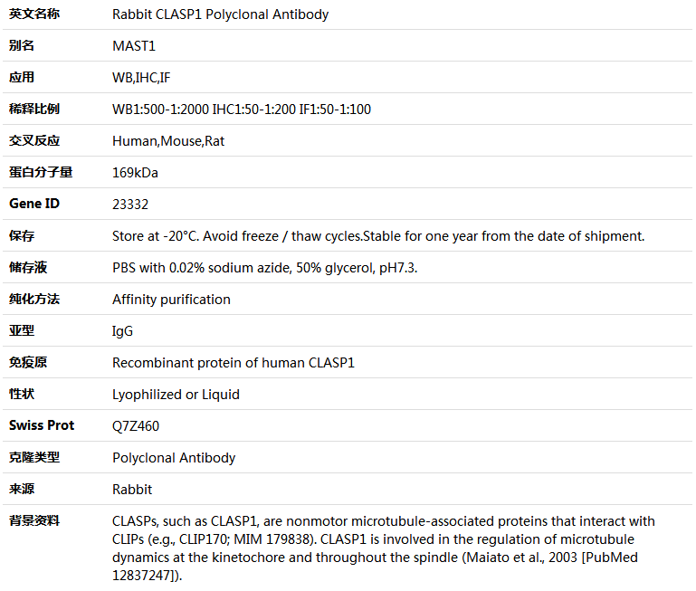CLASP1 Antibody,索莱宝,K004996P-100ul