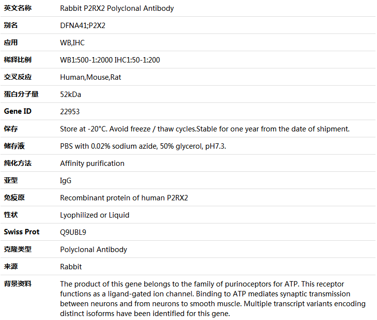 P2RX2 Antibody,索莱宝,K004994P-50ul