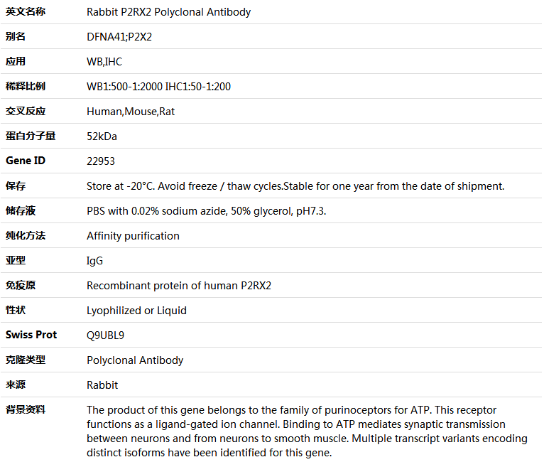 P2RX2 Antibody,索莱宝,K004994P-100ul