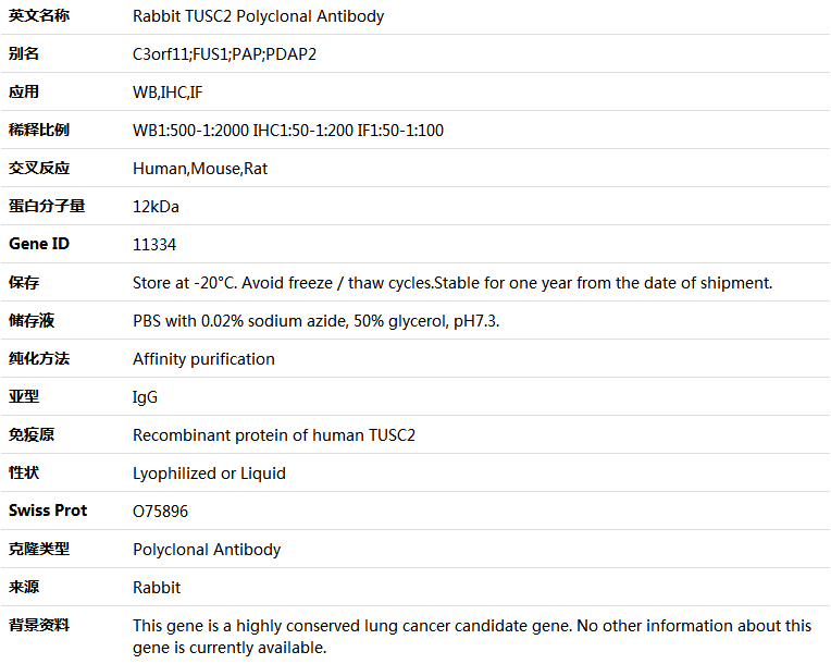 TUSC2 Antibody,索莱宝,K004991P-100ul