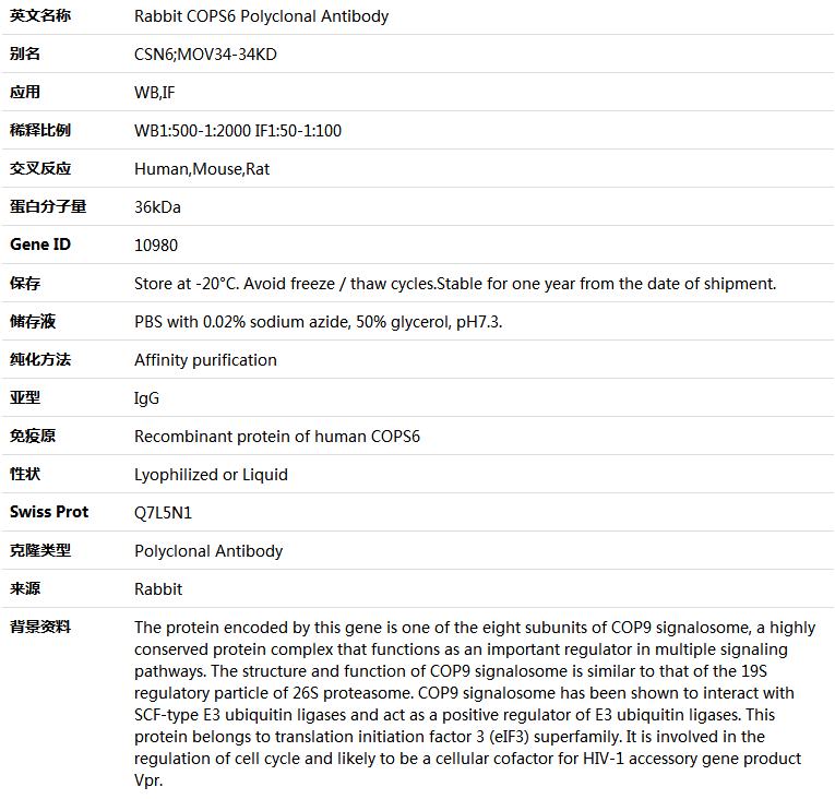 COPS6 Antibody,索莱宝,K004988P-50ul