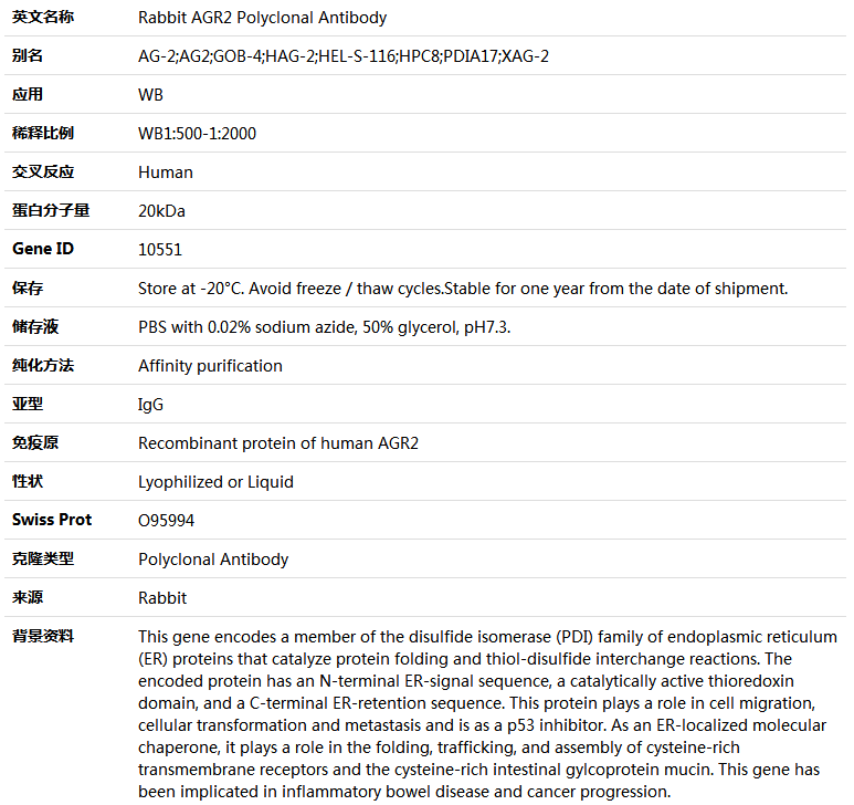 AGR2 Antibody,索莱宝,K004983P-50ul