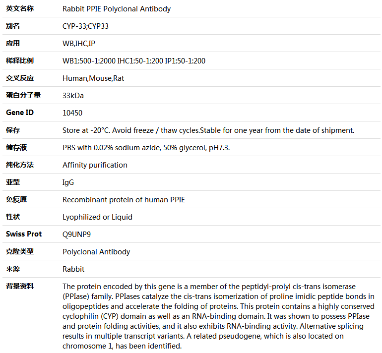 PPIE Antibody,索莱宝,K004980P-50ul