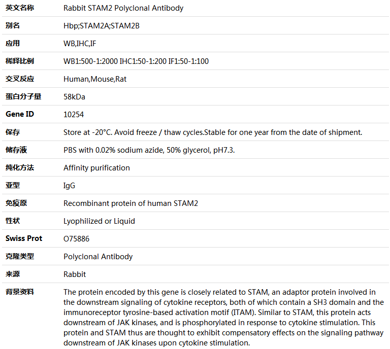 STAM2 Antibody,索莱宝,K004977P-50ul