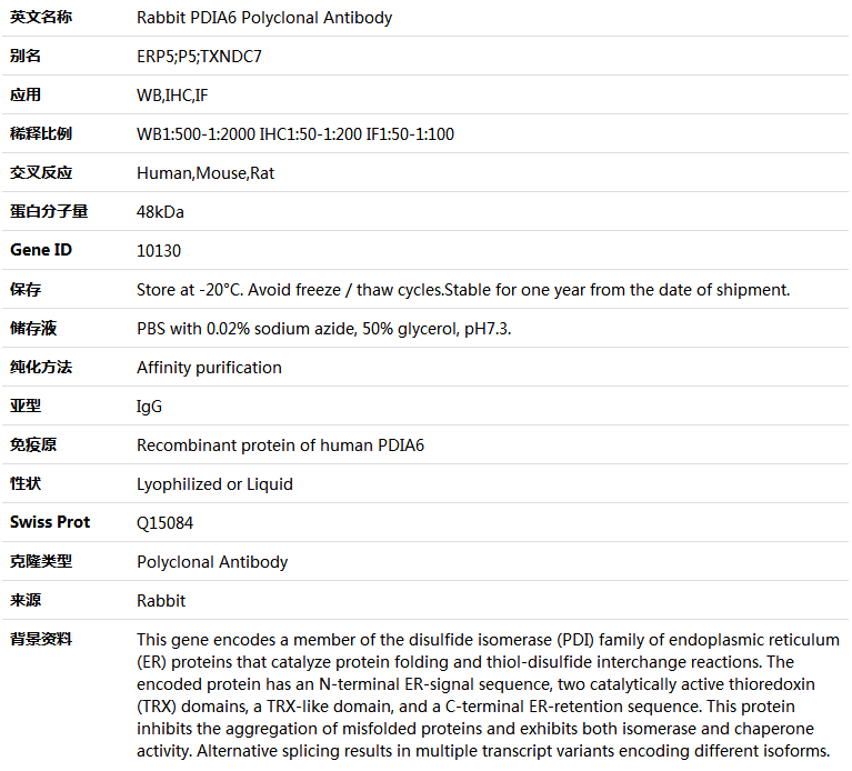 PDIA6 Antibody,索莱宝,K004974P-100ul