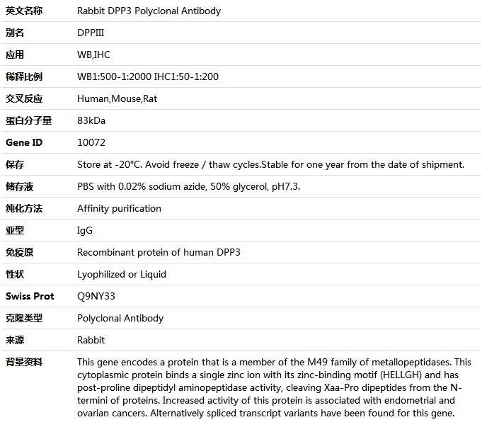 DPP3 Antibody,索莱宝,K004973P-50ul