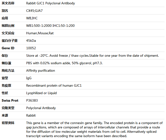 GJC1 Antibody,索莱宝,K004972P-50ul