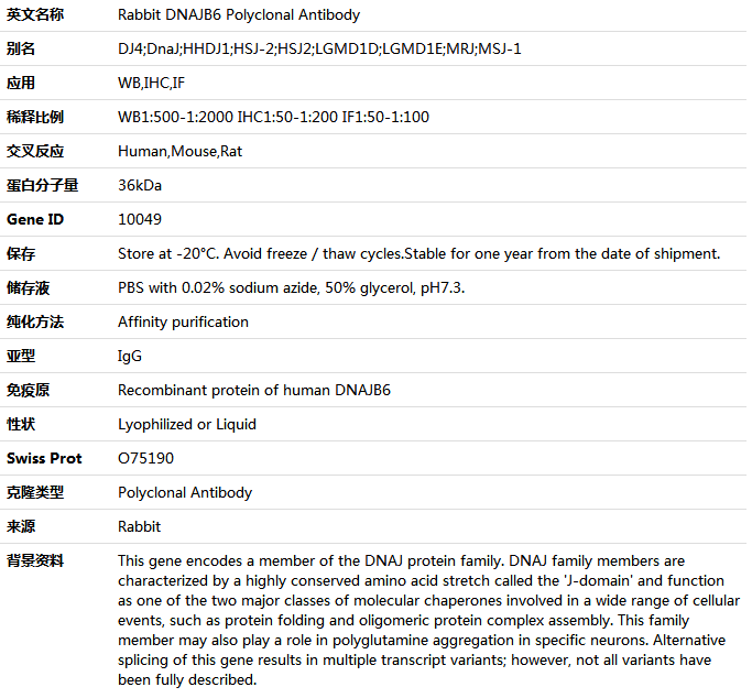 DNAJB6 Antibody,索莱宝,K004971P-100ul