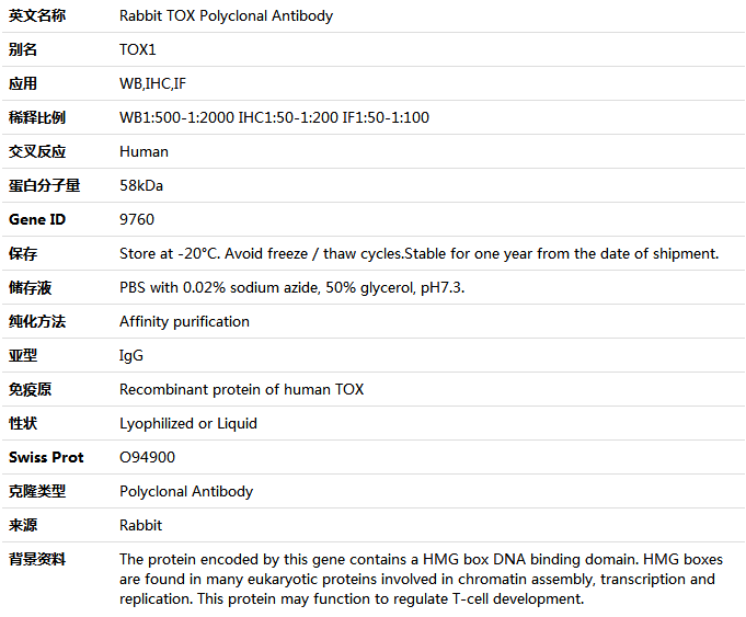 TOX Antibody,索莱宝,K004969P-100ul