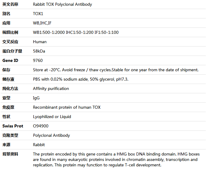 TOX Antibody,索莱宝,K004969P-50ul