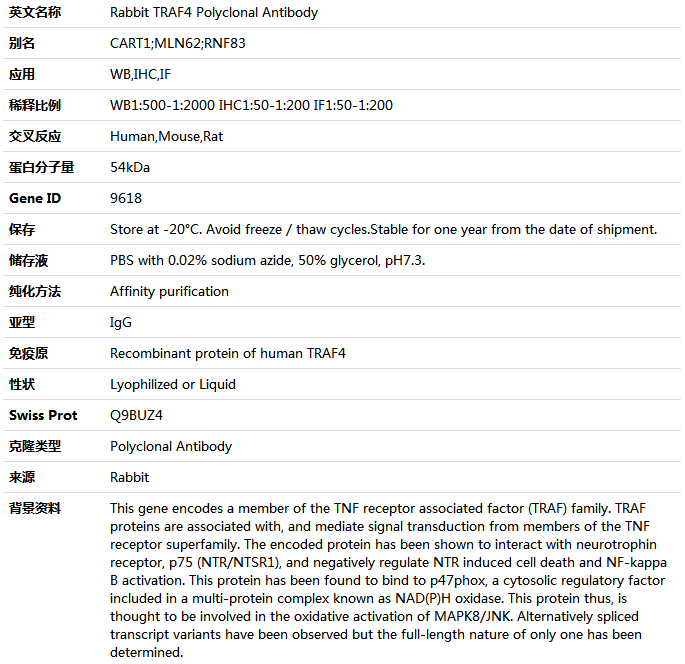 TRAF4 Antibody,索莱宝,K004967P-100ul